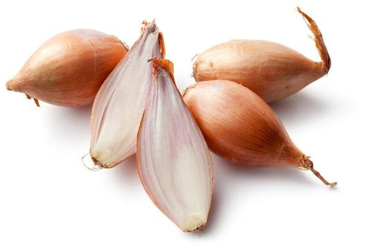 Shallot Onion