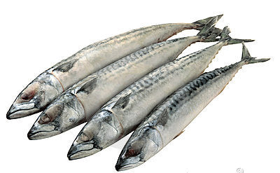 Mackerel Fish - 5pcs