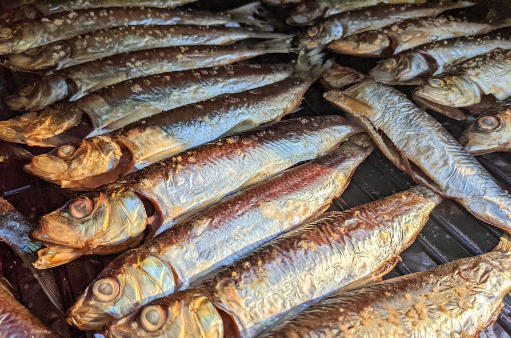 Smoked herring fish