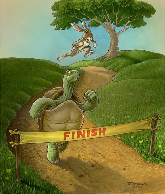 The Hare and the Tortoise