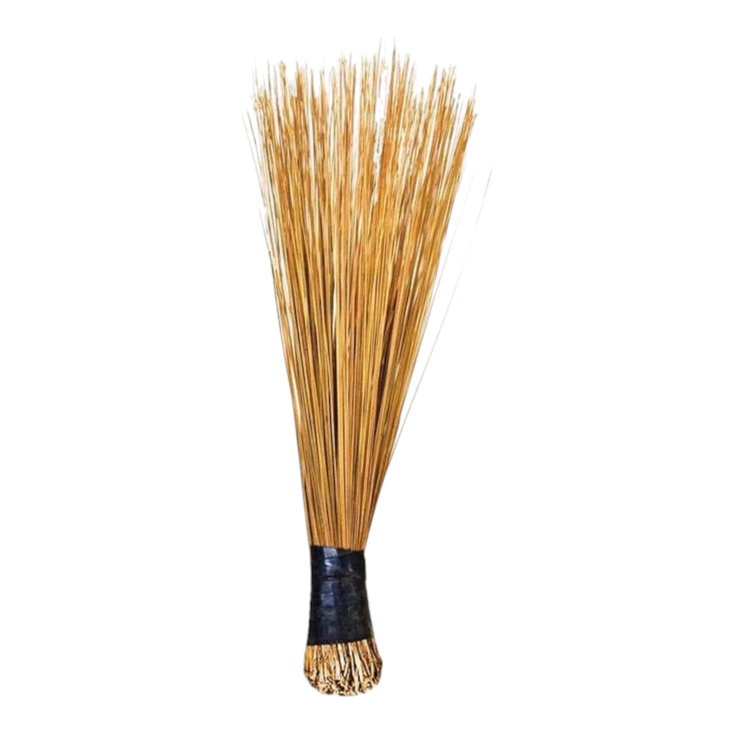 African Broom