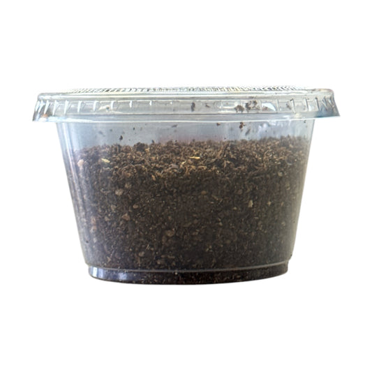 Uziza (Blended/Ground)
