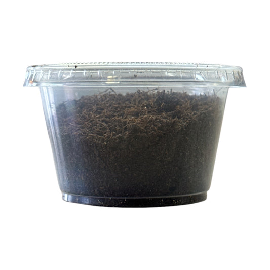 Uda (Blended/Ground)
