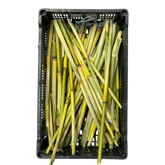 Fresh Sugar Cane
