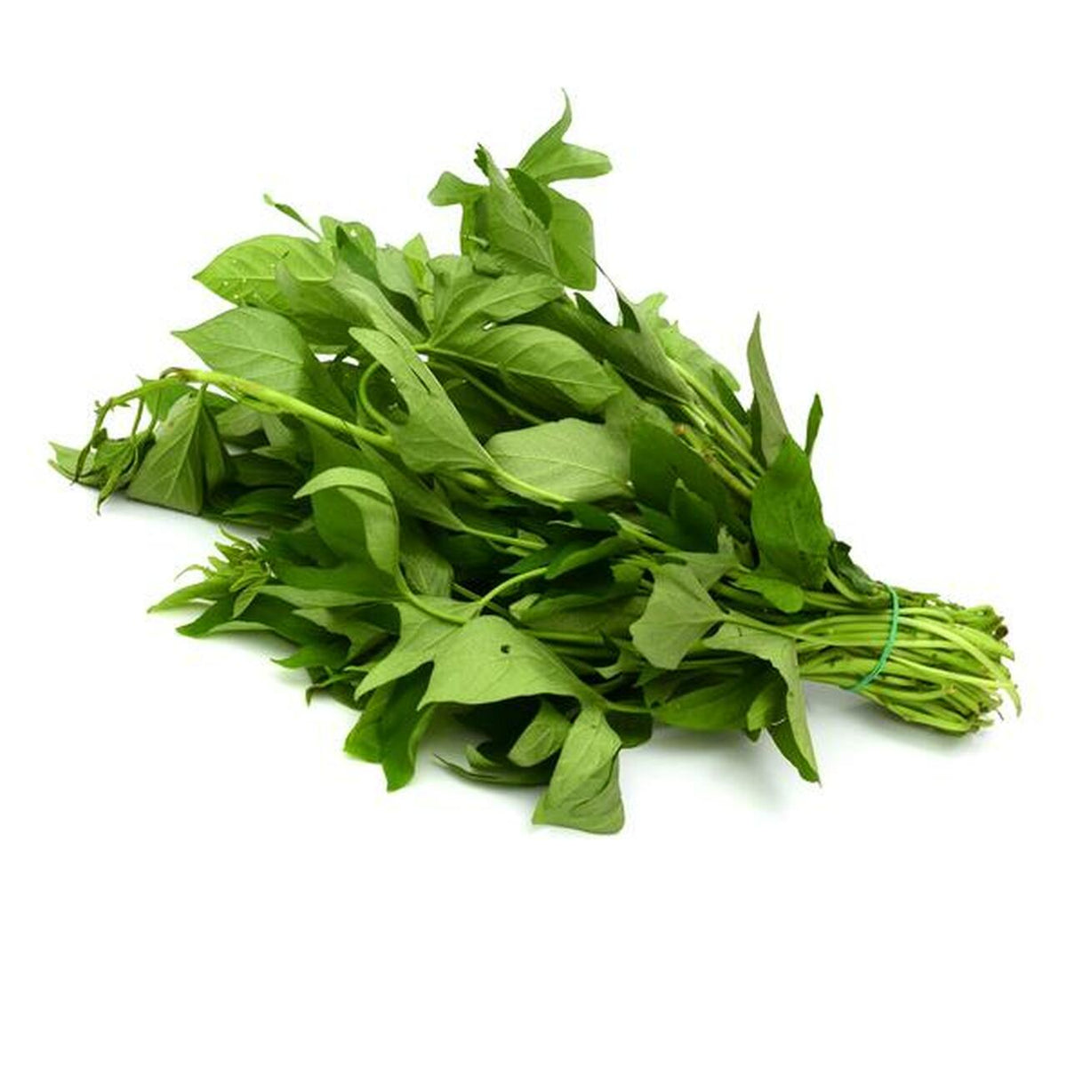 Bitter Leaf