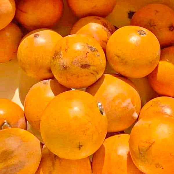 Udara -6pc