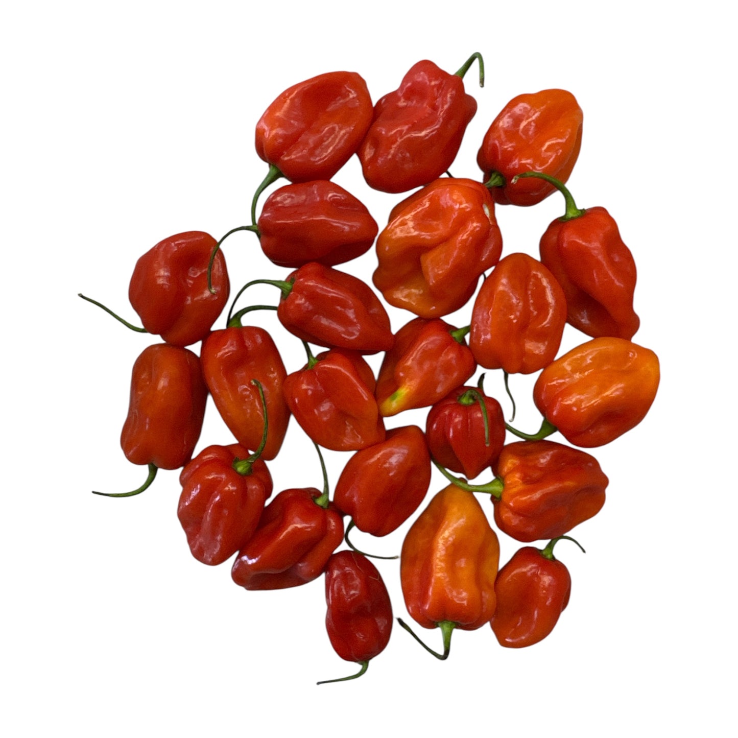 Fresh Hot Pepper