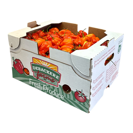 Fresh Hot Pepper