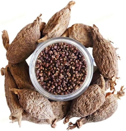 Aligator Pepper (organic)