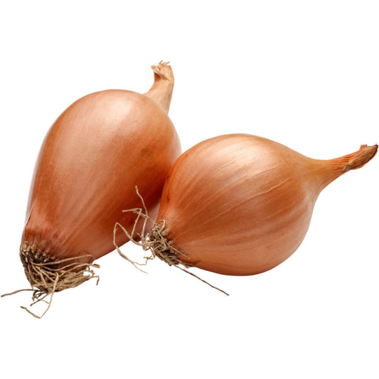 Shallot Onion